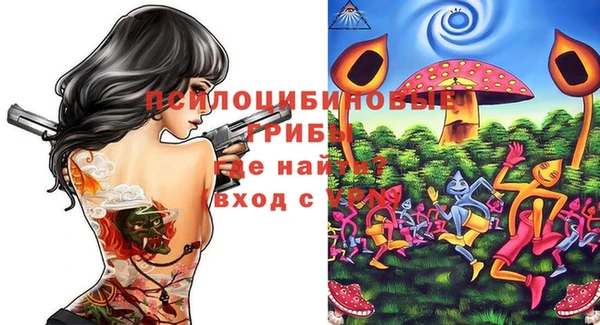 Альфа ПВП Арсеньев