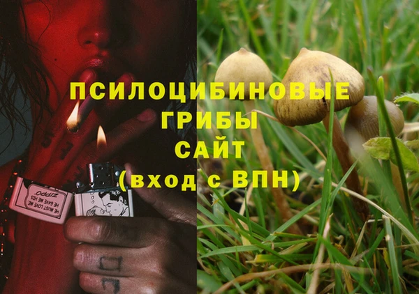 СК Алзамай
