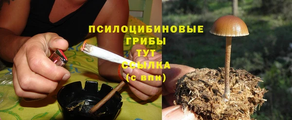 круглые Алексеевка